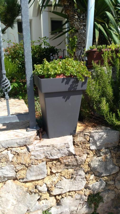 Apartmani Darko Kornić Dış mekan fotoğraf